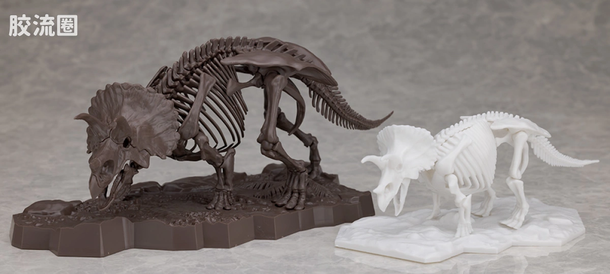 万代综合拼装模型系列 Imaginary Skeleton系列 三角龙 - 图片